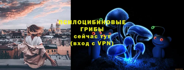 a pvp Белокуриха