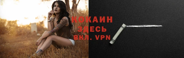 a pvp Белокуриха