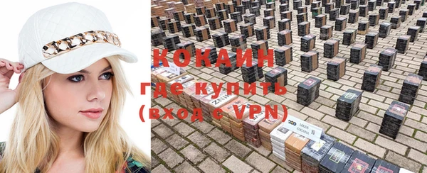 a pvp Белокуриха