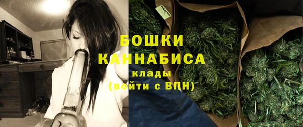 a pvp Белокуриха
