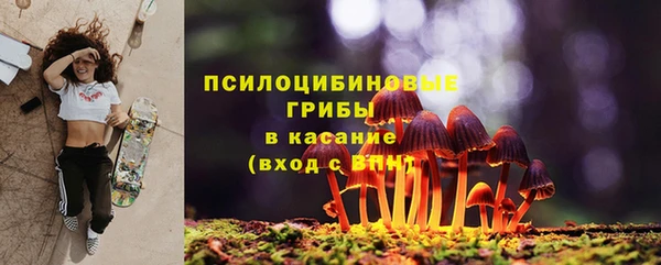 ECSTASY Домодедово