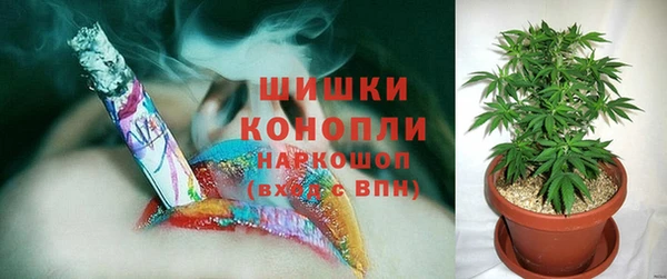 a pvp Белокуриха